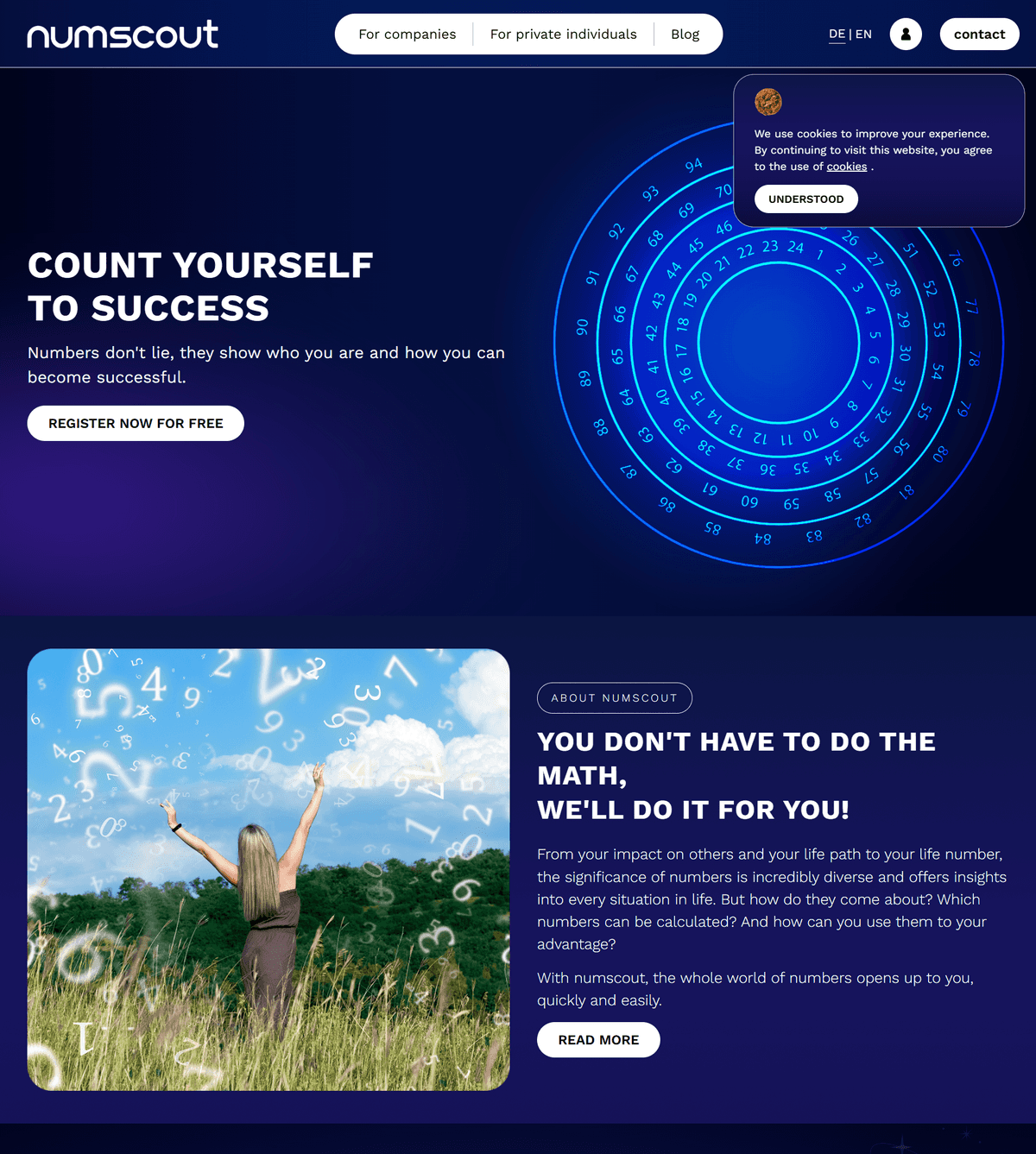 NumScout business website with modern clean design and responsive layout